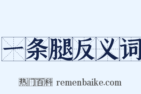 一条腿反义词是什么意思的图片